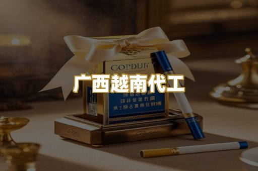 广西越南代工